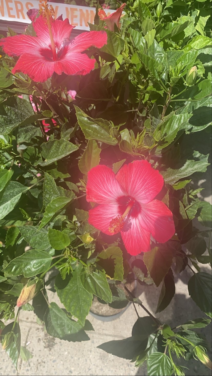 Slow stroll, PowerFUL&nbsp;progression