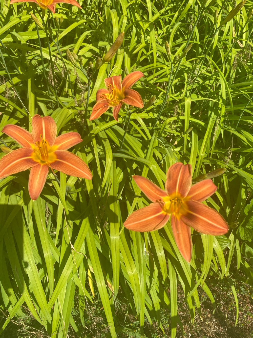 Knowing your worth cost&nbsp;$0.00